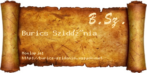 Burics Szidónia névjegykártya